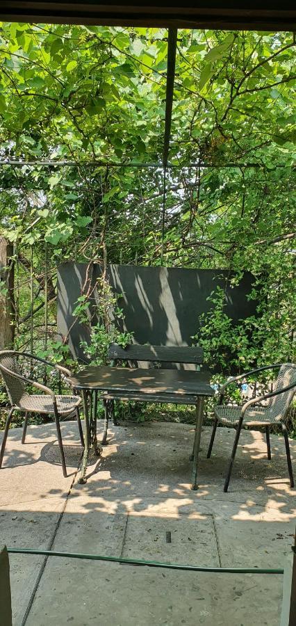 סן סלבדור דה ג'ולוי Los Tarcos Guest House מראה חיצוני תמונה