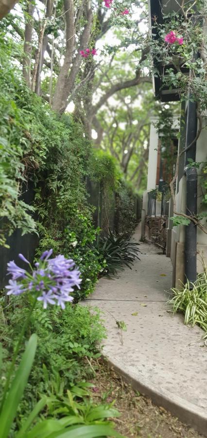סן סלבדור דה ג'ולוי Los Tarcos Guest House מראה חיצוני תמונה