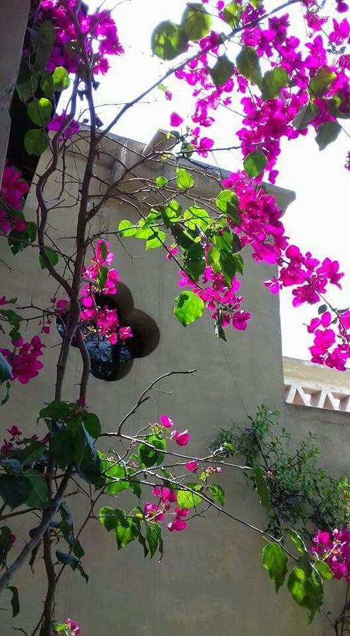 סן סלבדור דה ג'ולוי Los Tarcos Guest House מראה חיצוני תמונה