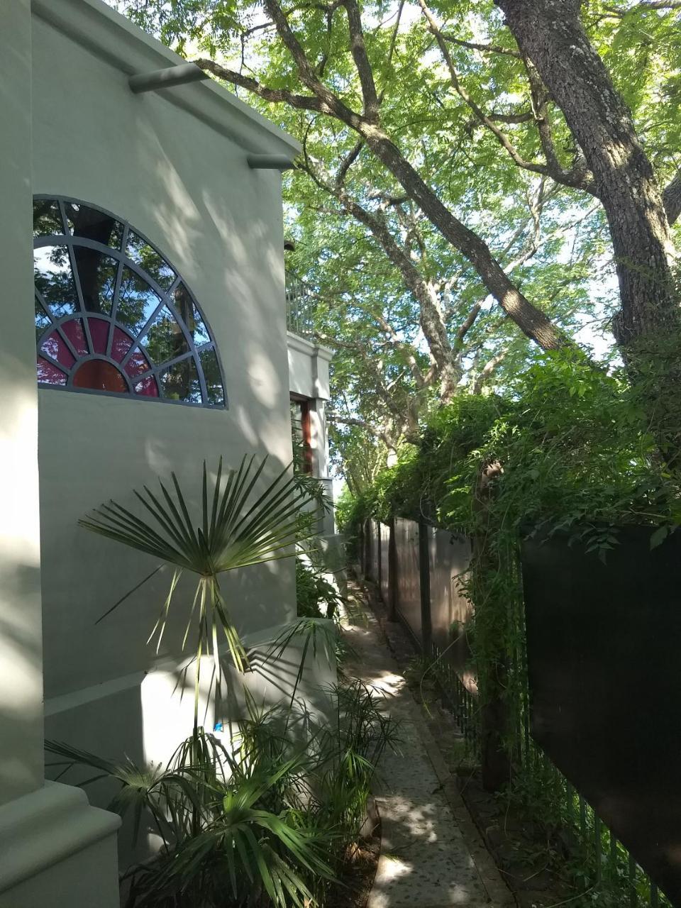 סן סלבדור דה ג'ולוי Los Tarcos Guest House מראה חיצוני תמונה