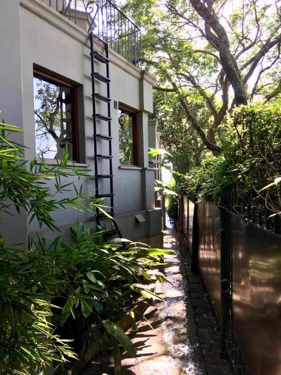 סן סלבדור דה ג'ולוי Los Tarcos Guest House מראה חיצוני תמונה